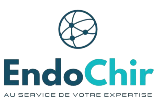 Endochir